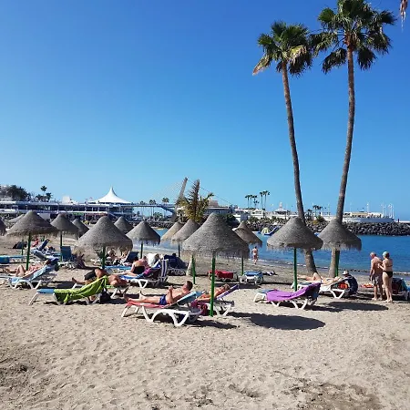 Duplex Penthouse Puerto Colon Only 5 Min. To The Beach, 2 Terraces, Pool, Wifi, Dishwasher Apartment Costa Adeje (Tenerife)